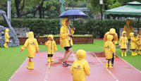 雨中的小黄人