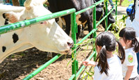 [School] Cowboy Farm Fieldtrip