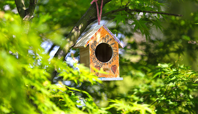 Birdhouses