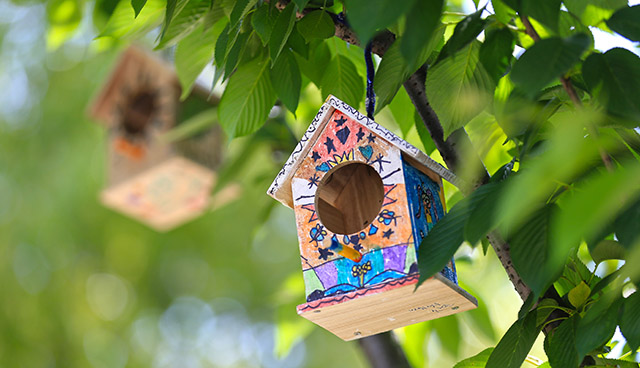 Birdhouses